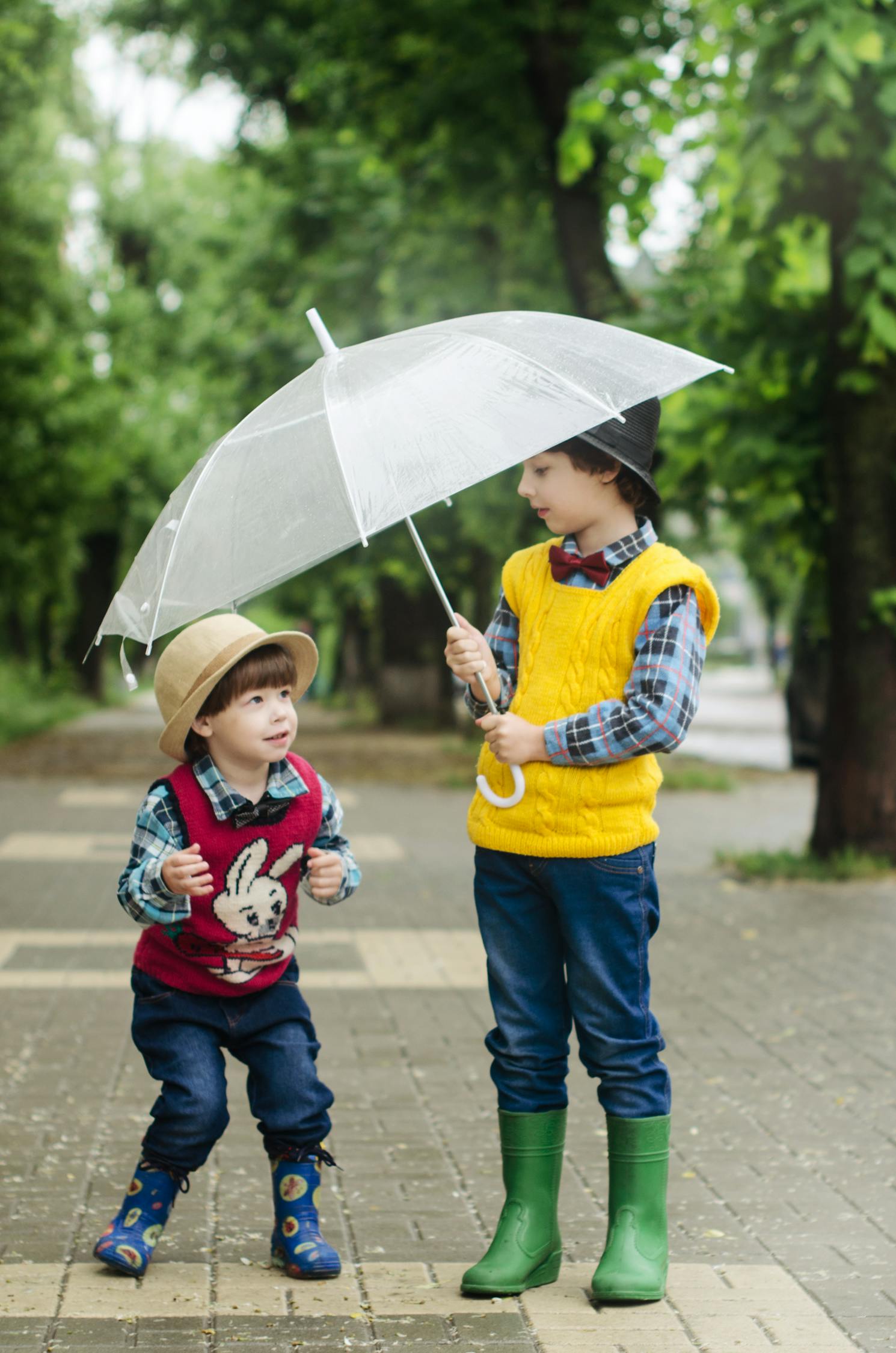 电视剧独生子剧情解析，聚焦独生子女家庭的生活与挑战